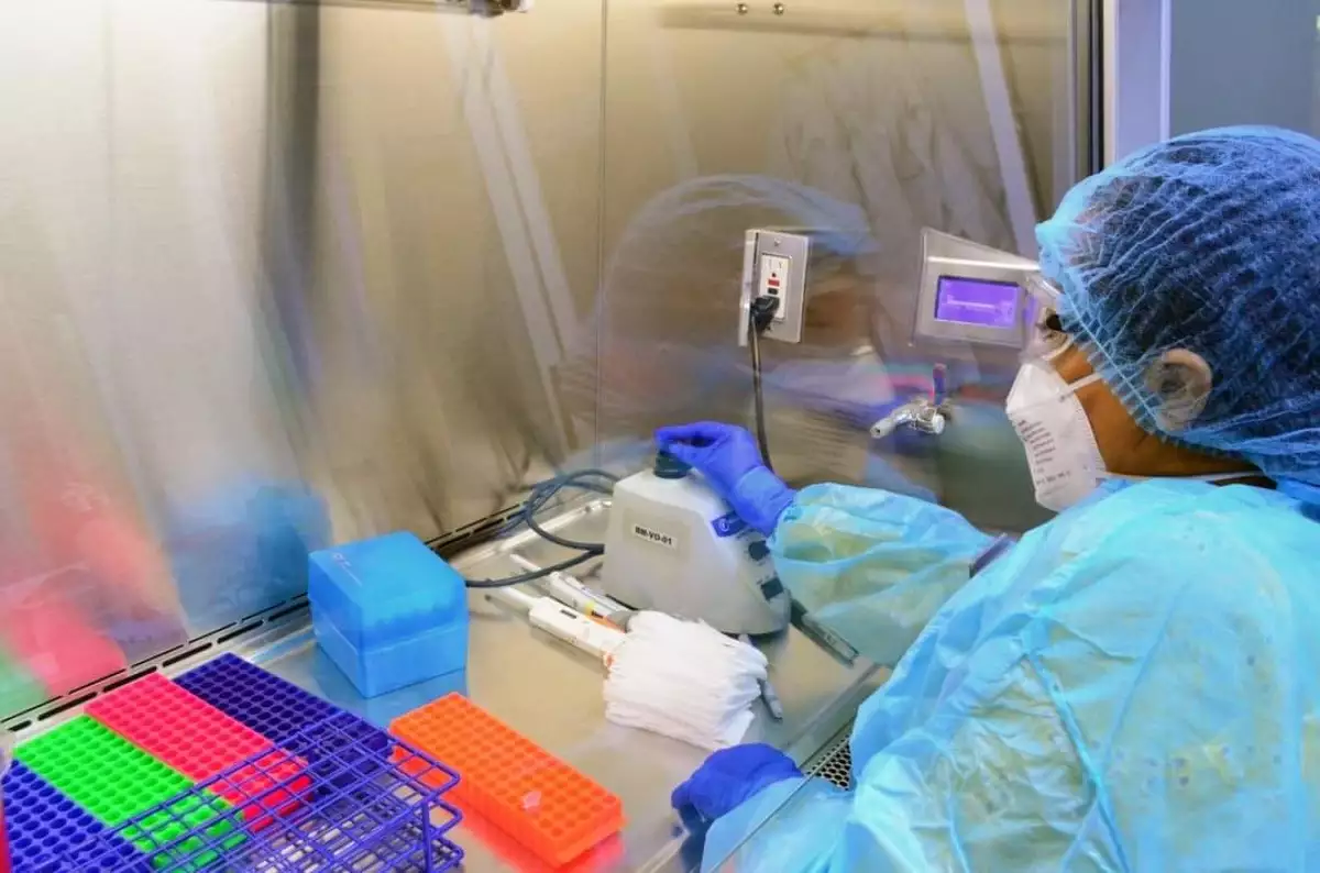 salud de tamaulipas.jpeg