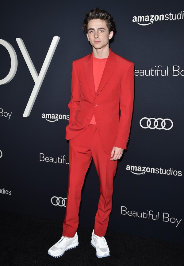 Amazon Studios Of Angeles Premiere Of "Beautiful Boy" - Arrivals