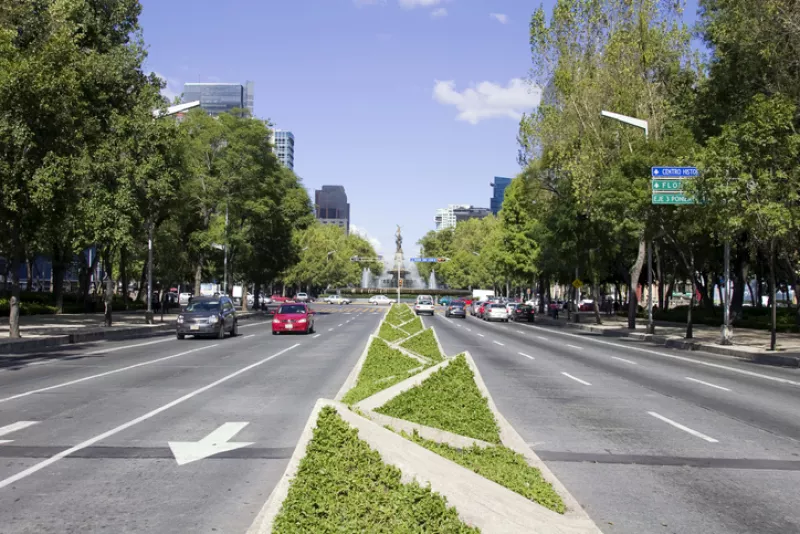 viviendas-en-vegetacion