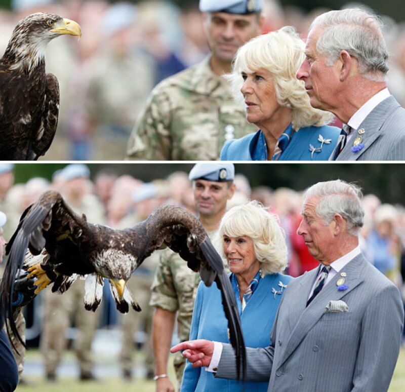 La pareja real sufrió un penoso momento con el águila de la Fuerza Armada Aérea británica.