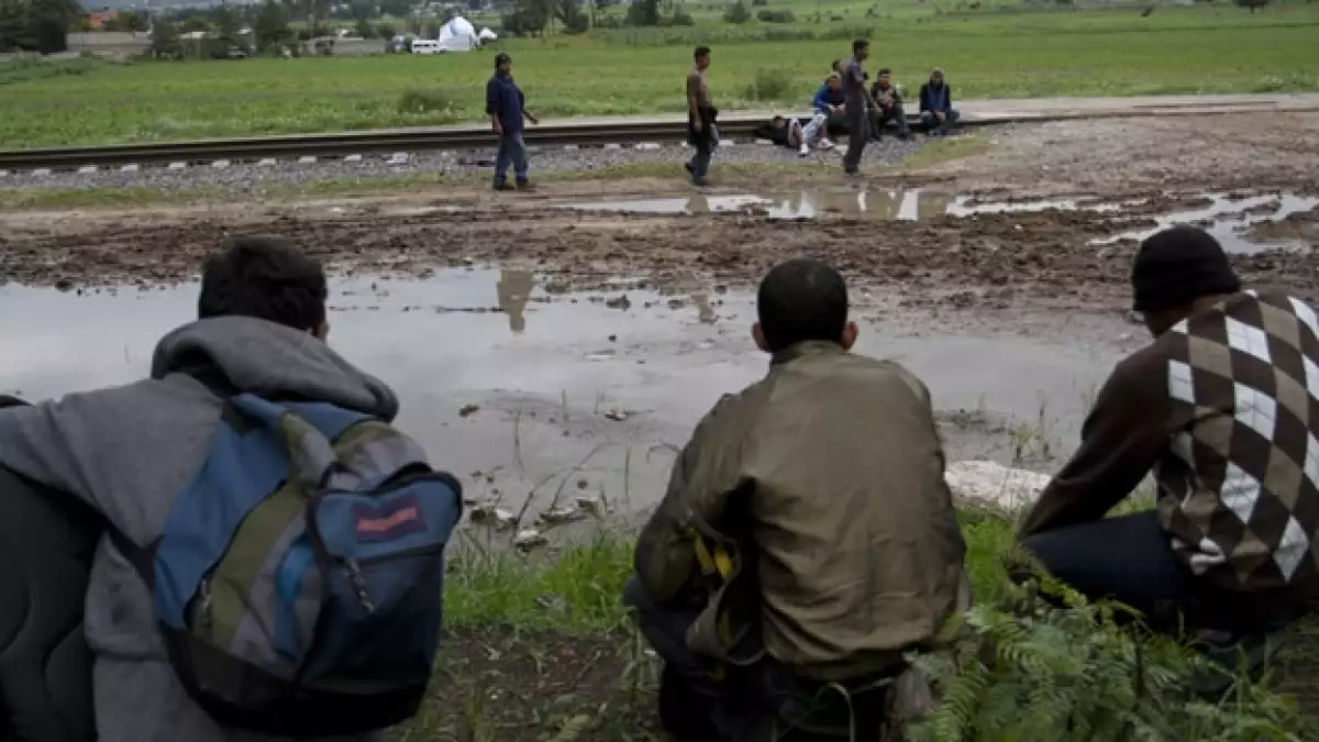 migrantes