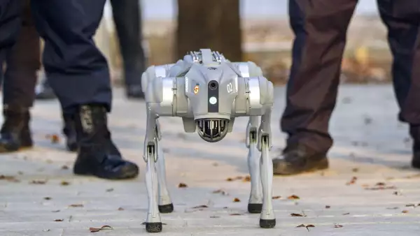 Los perros robots que parecían mascotas ya trabajan en minas y fábricas: el mercado de 124,800 mdd 