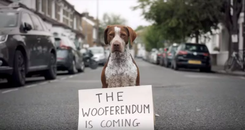 'The Wooferendum is coming'