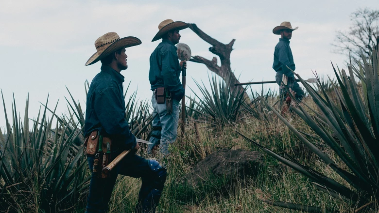 Tequila Siete Leguas