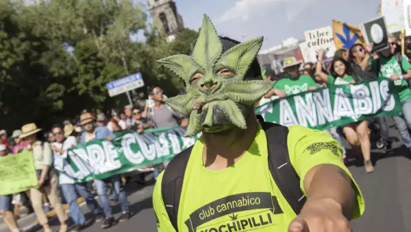 encuesta-uso-de-drogas