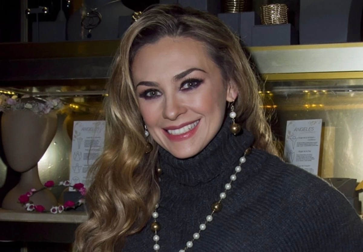 Aracely Arámbula cumple 38 años.