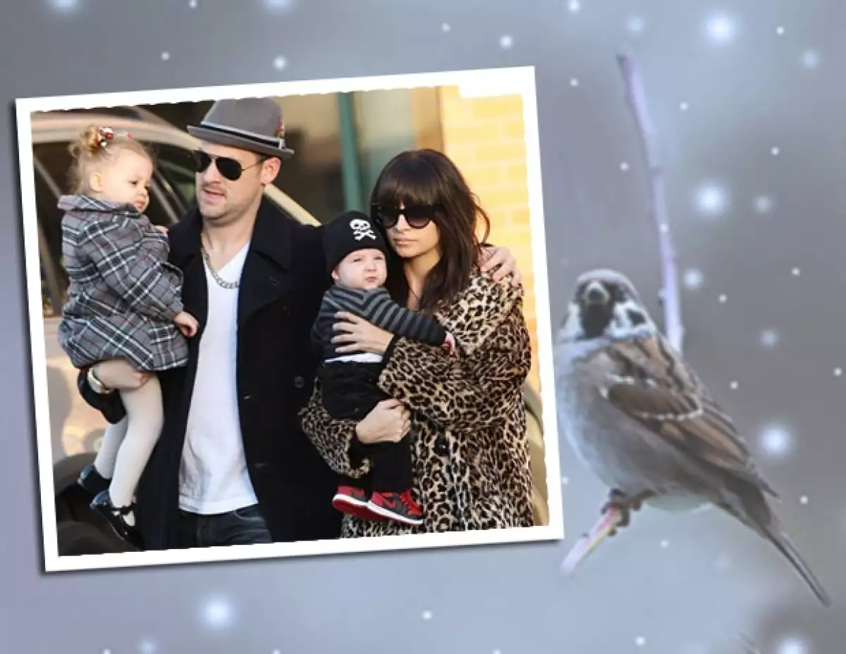 Harlow nació el 11 de enero de 2008 y Sparrow el 9 de septiembre de 2009.