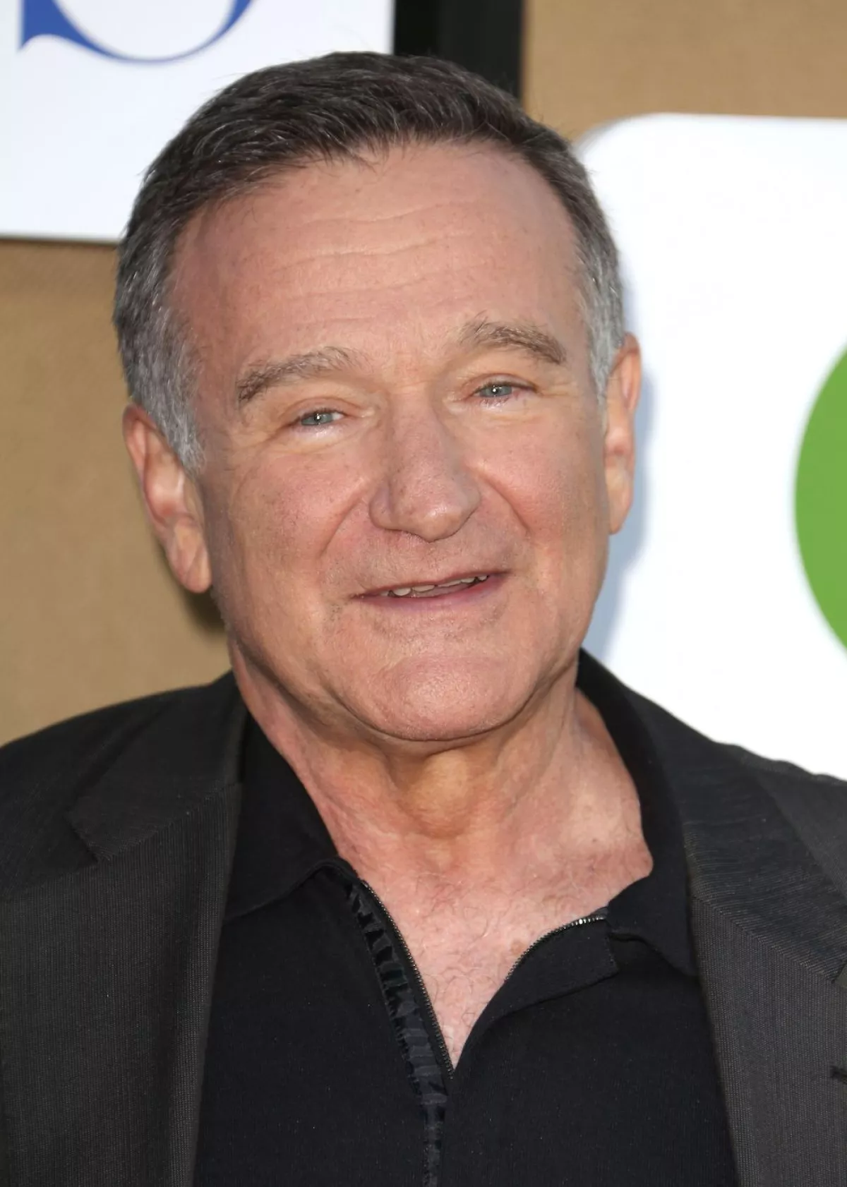 CBS/CW/Showtime Summer TCA Party, Los Angeles, America - 29 Jul 2013