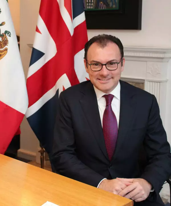 Videgaray