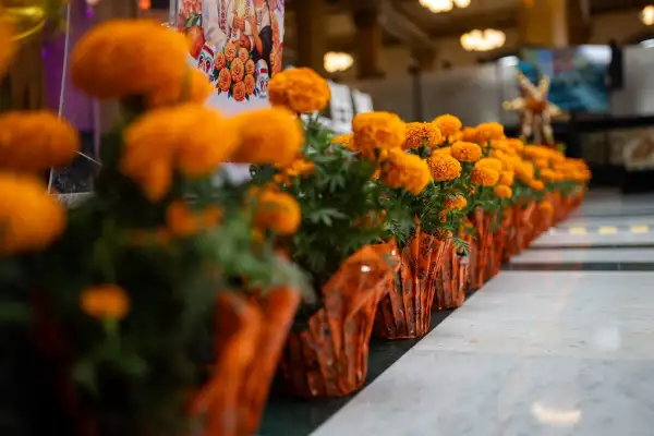 Día de Muertos en Oaxaca