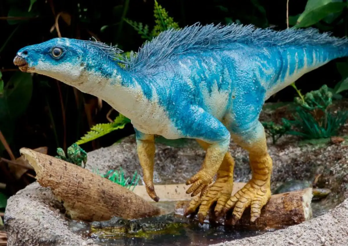 Parksosaurido El dinosaurio pertenece a la familia Parksosauridae, que fue un herbívoro.