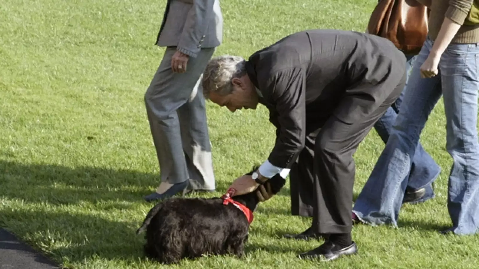 perros, presidente, eu, Bush  