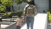 Niño secuestrado en Morelos