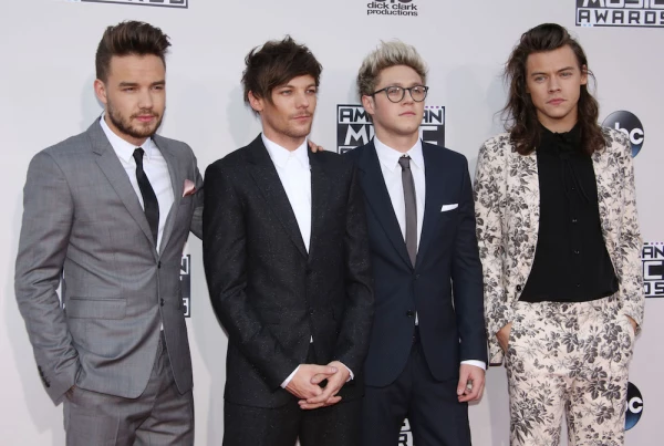 American Music Awards, Arrivals, Los Angeles, America - 22 Nov 2015