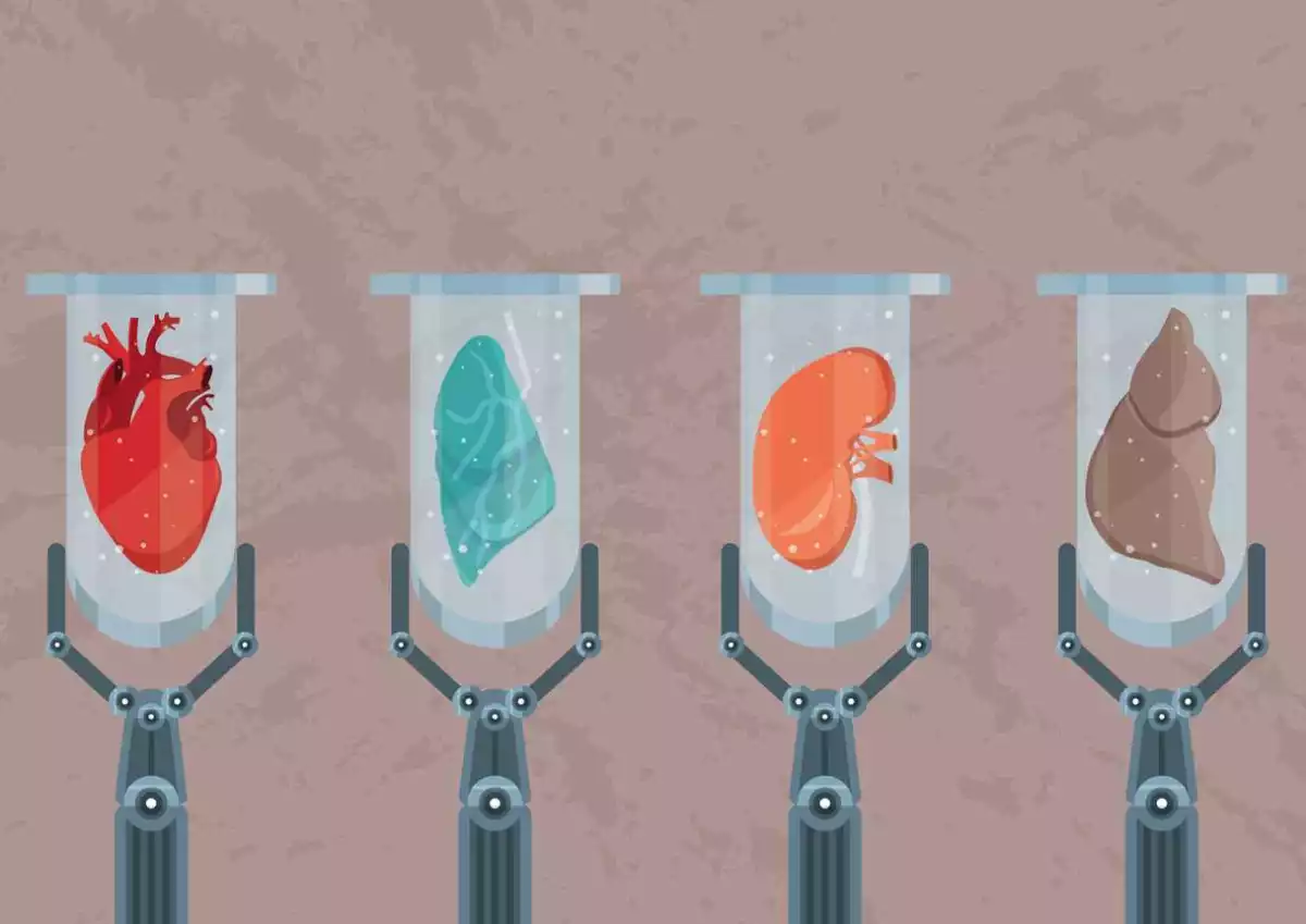 Medicina regenerativa