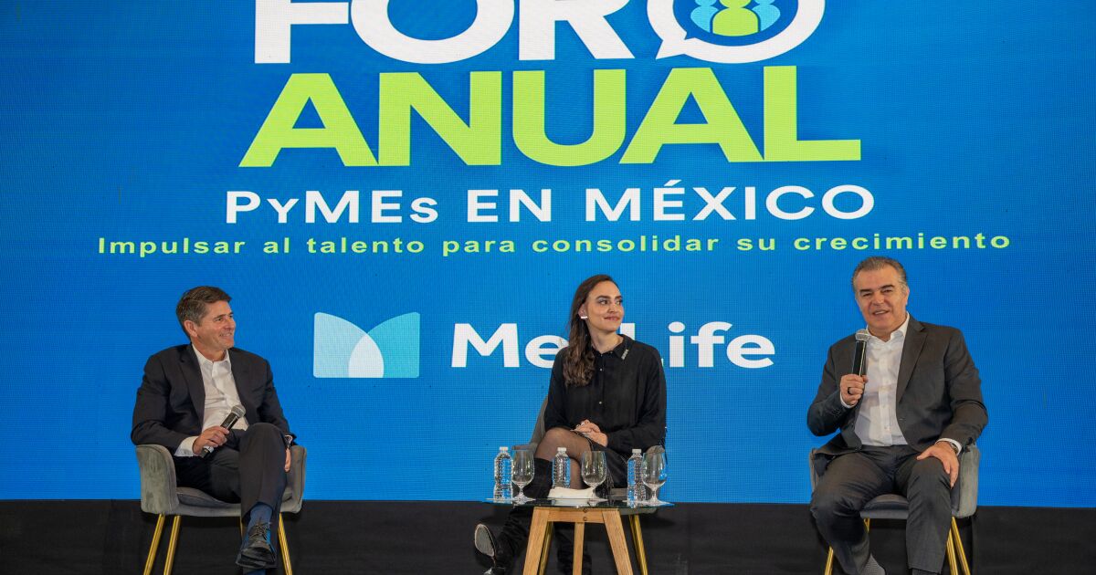 Yetenek, KOBİ'lerin dayanıklılığı ve sağlamlaşmasının faktörüdür