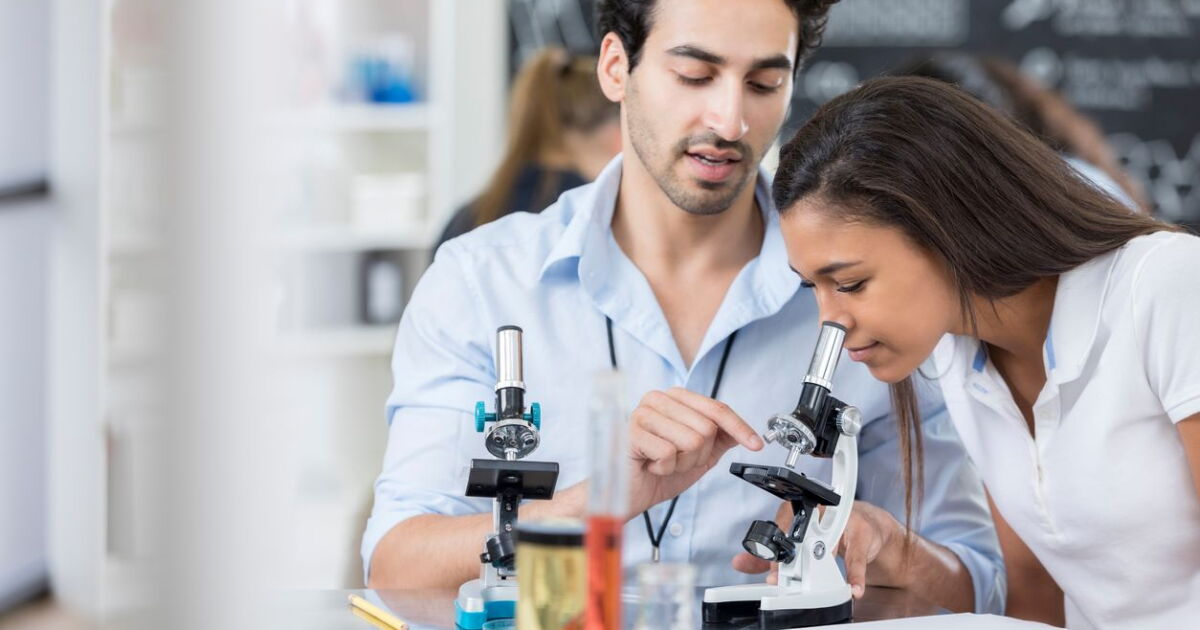 Meksika'da girişimciliğin geleceği
