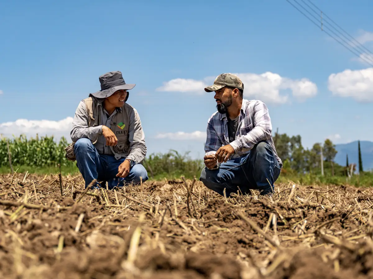 Productores locales Danone