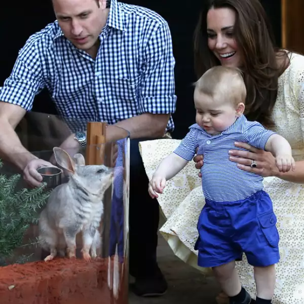 George conociendo a un bilby llamado George en honor a él en el zoológico de Sidney.