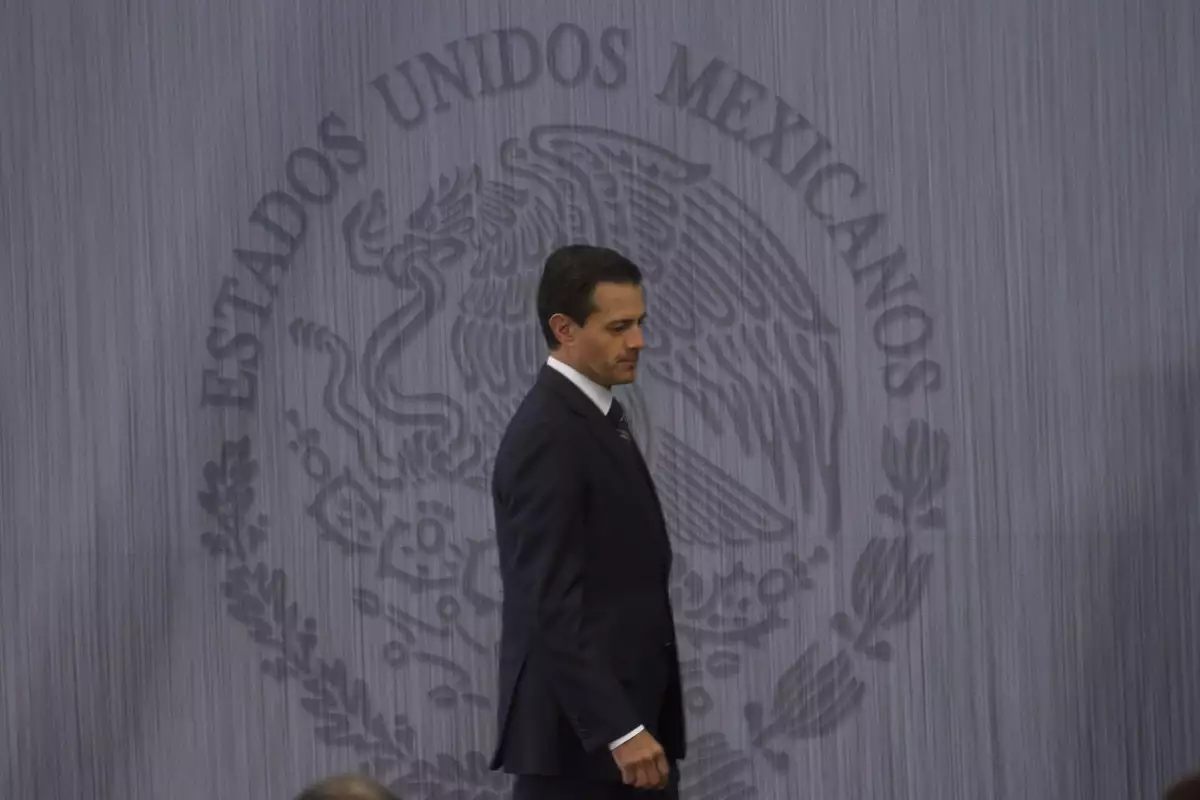 Bajo la lupa