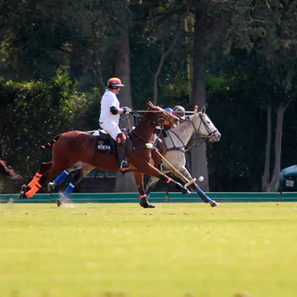 Juego de Polo México - España