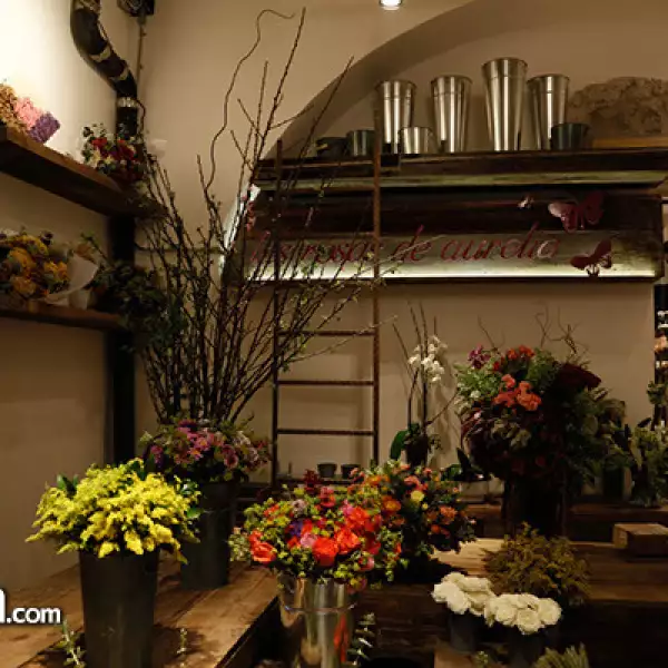 Doce 18 Concept House