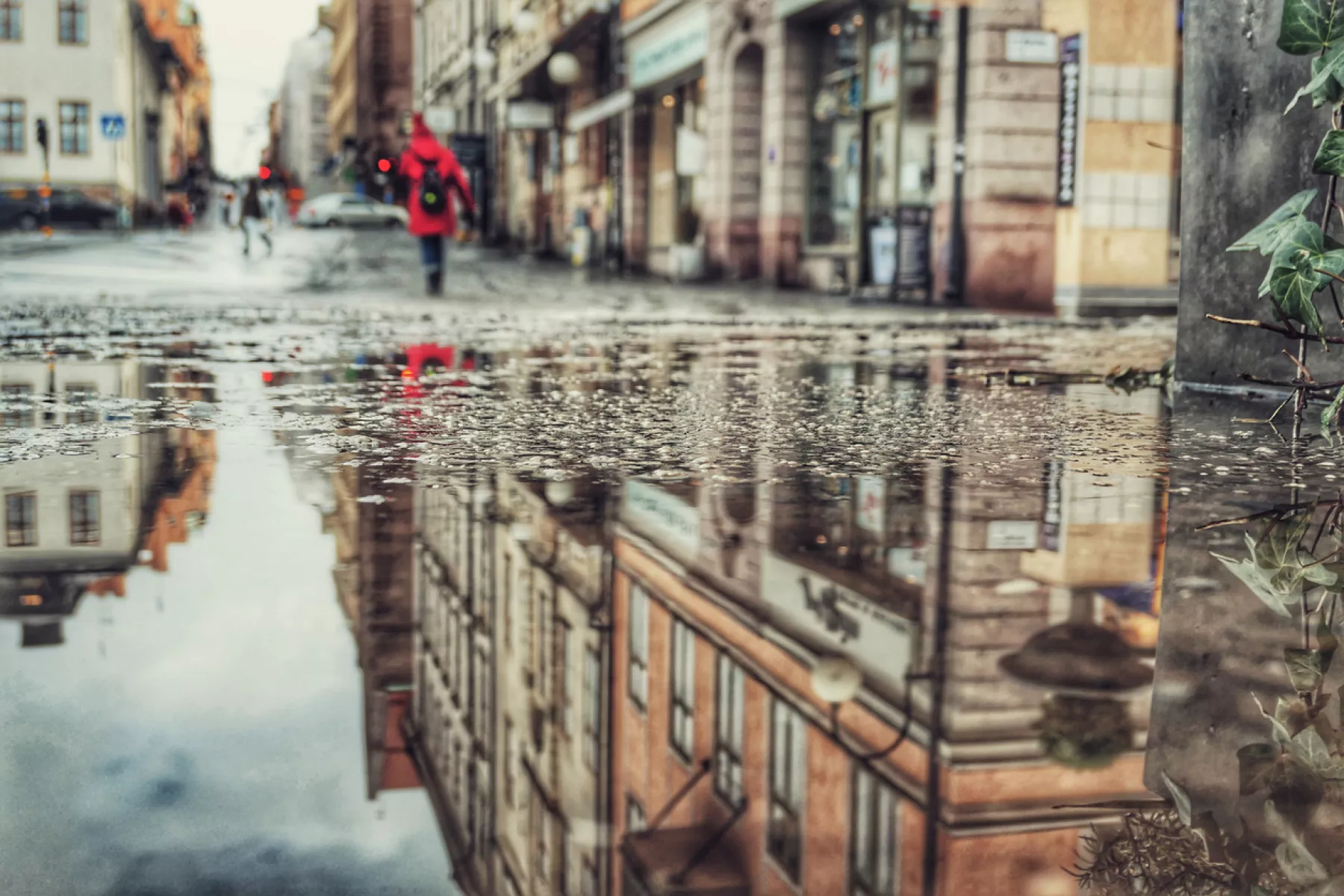 Reflection in a puddle