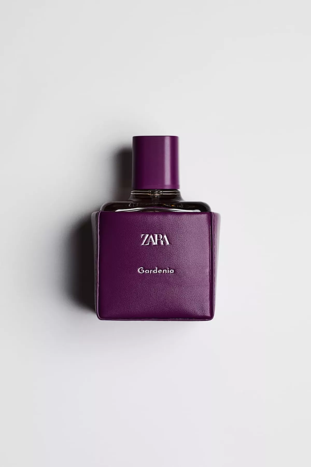 gardenia-zara.png