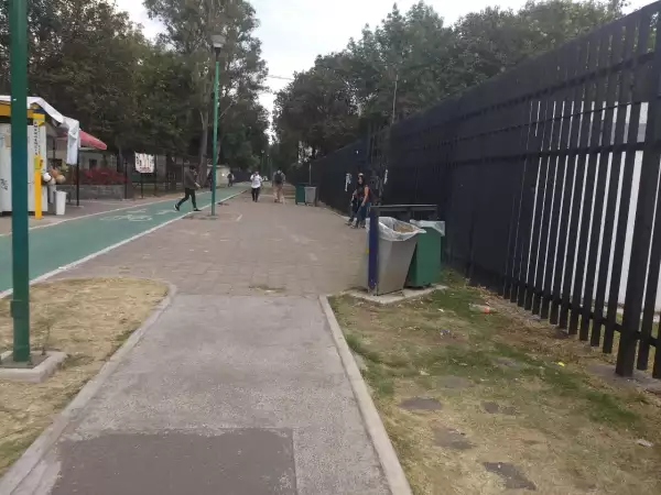 Camino
