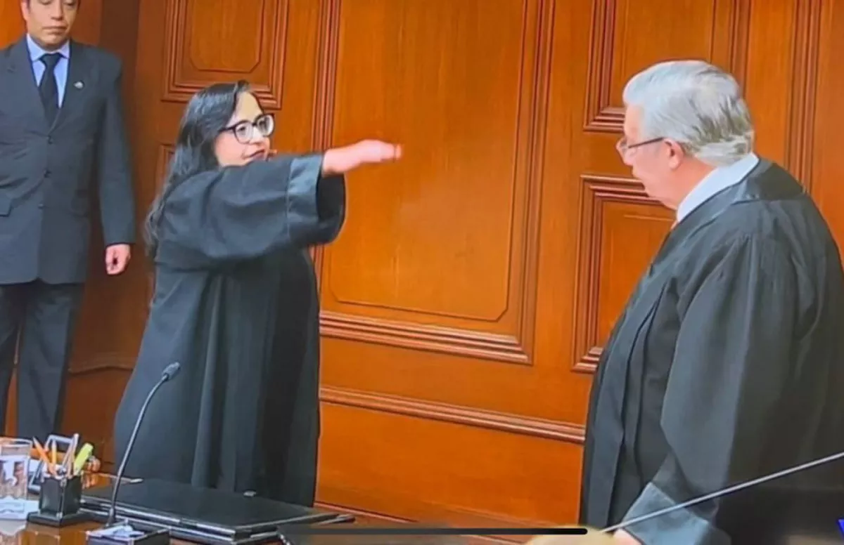 Norma Lucia Piña Hernández