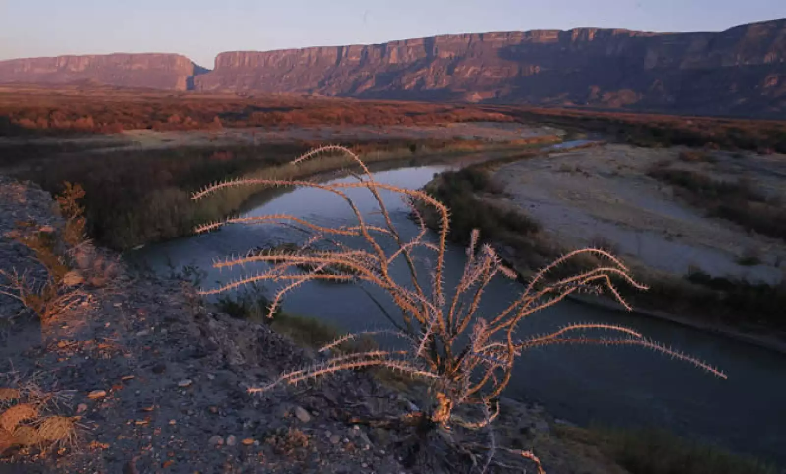 Los desolados territorios abarcan una región con un profundo carácter silvestre que esta conformada por el desierto de Chihuahua, Sonora, Baja California y el de Mojave, que juntos suman más de un millón 400 mil km2.