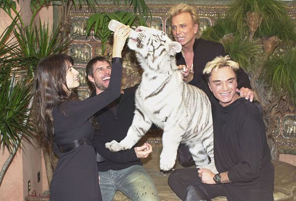 Roy Horn, del famoso dúo Siegfried and Roy, muere por ...
