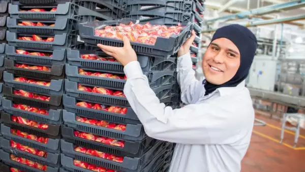 Bimbo anuncia inversión de 2,000 mdd en México hacia 2028