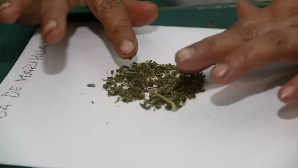Aunque su uso está prohibido en México, en algunos zonas del país, como Oaxaca, el cannabis se emplea en la preparación de algunos remedios.