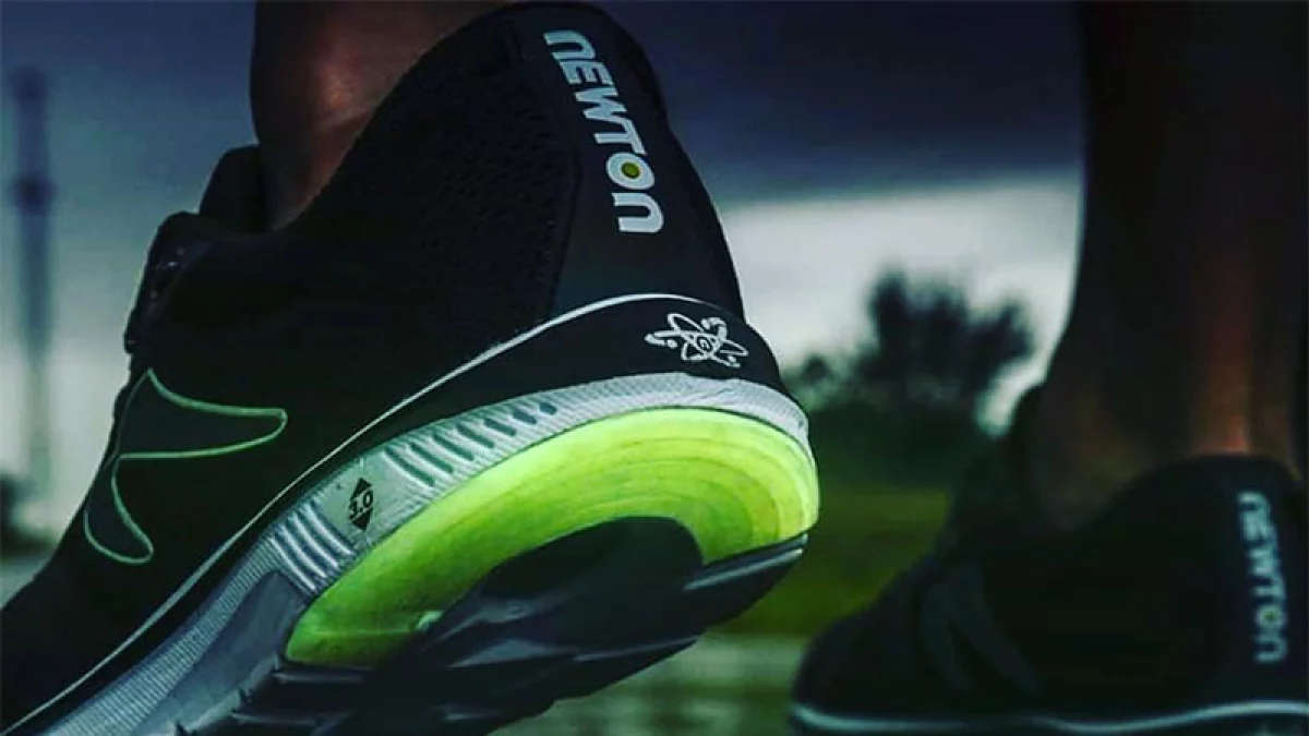 Sneakers Newton
