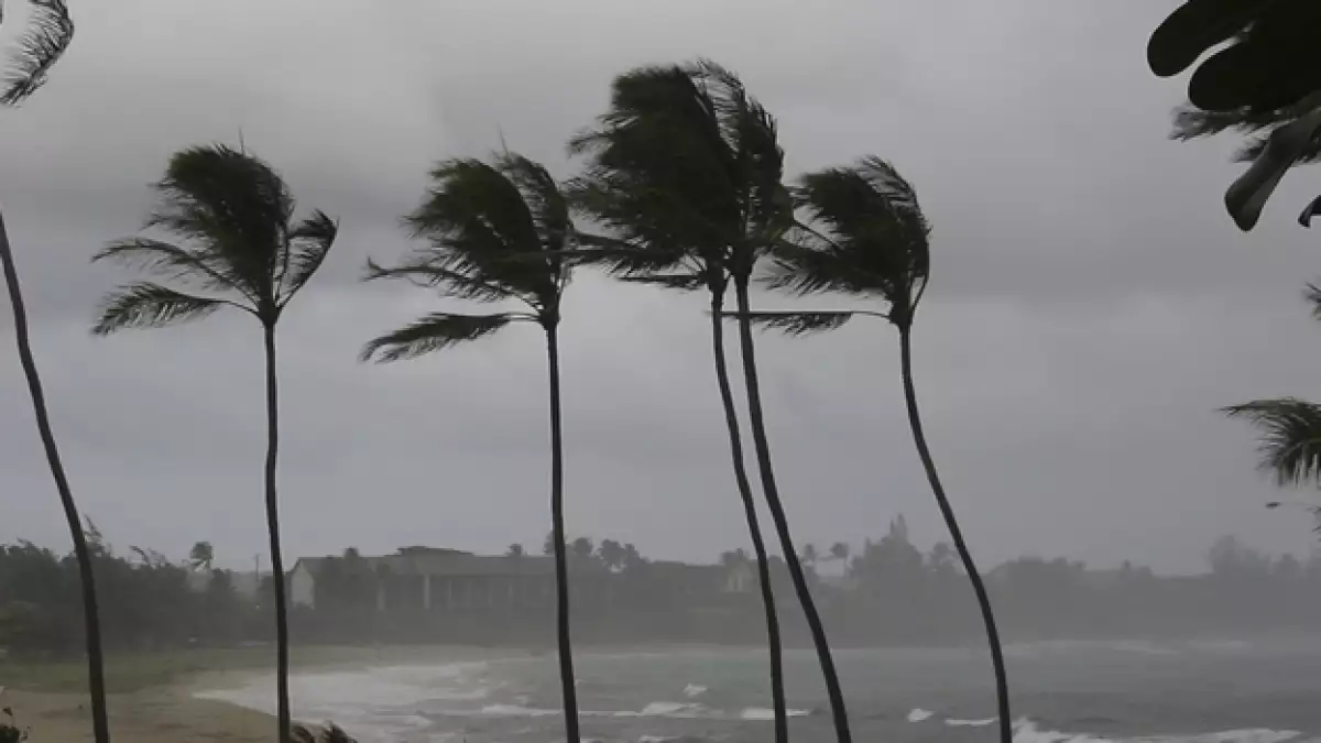 ¿Qué hacer en caso de huracán? Recomendaciones de Protección Civil para protegerse en la temporada de huracanes en México