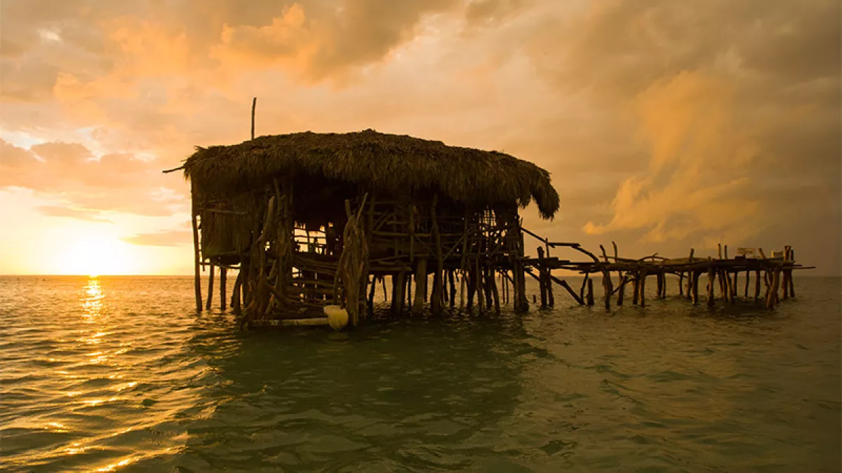 Pelican Bar