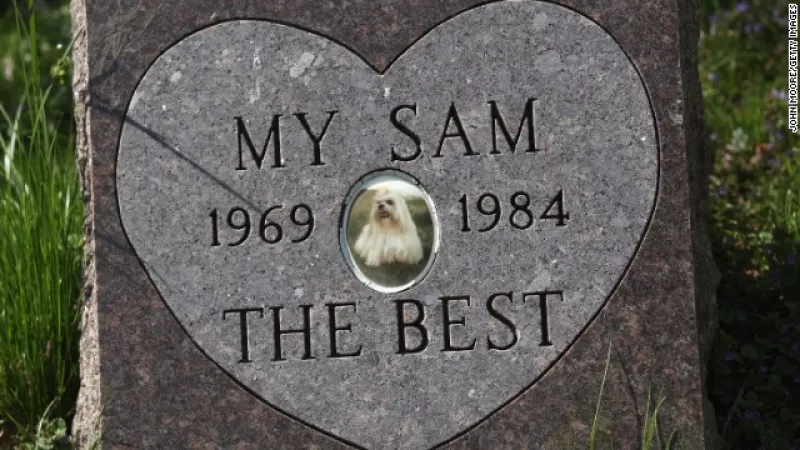 cementerio de mascotas