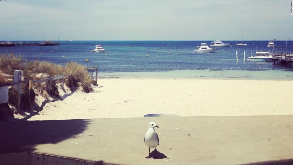Rottnest Island