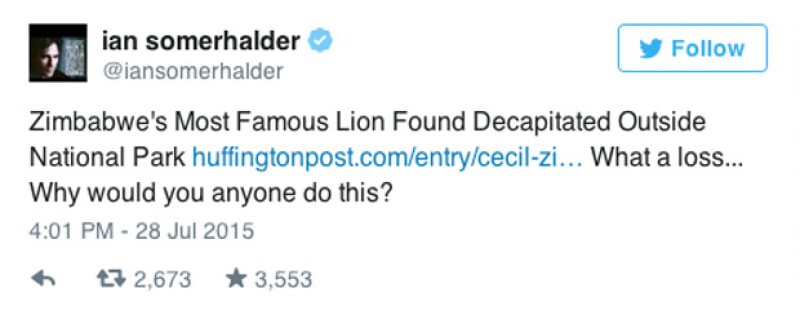 'El león más famoso de Zimbawe encontrado decapitado afuera del Parque Nacional. Qué pérdida... ¿Por qué alguien haría esto?'