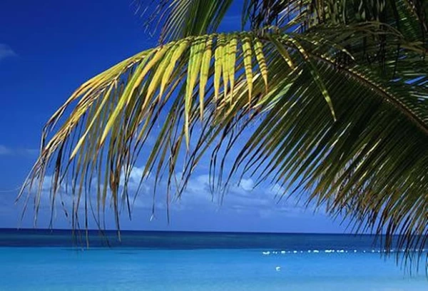 Hay muchas playas en México para visitar.