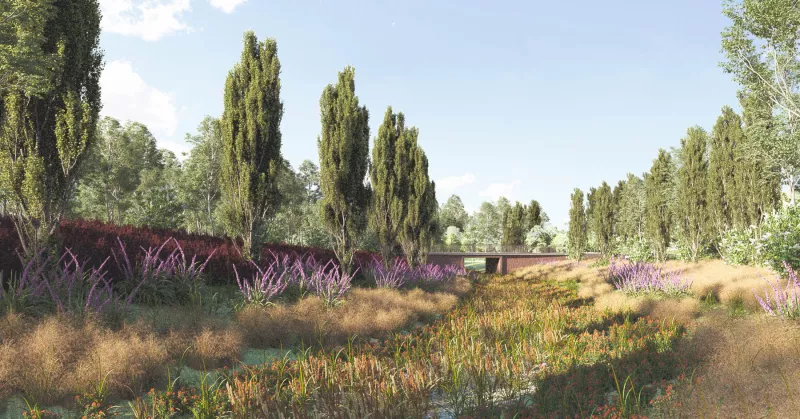 Jardín temático humedal del nuevo chapultepec