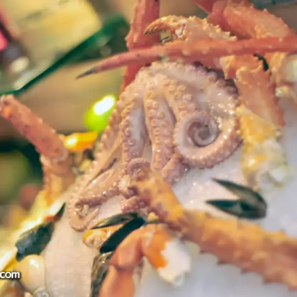 Primer Aniversario de La Encomienda