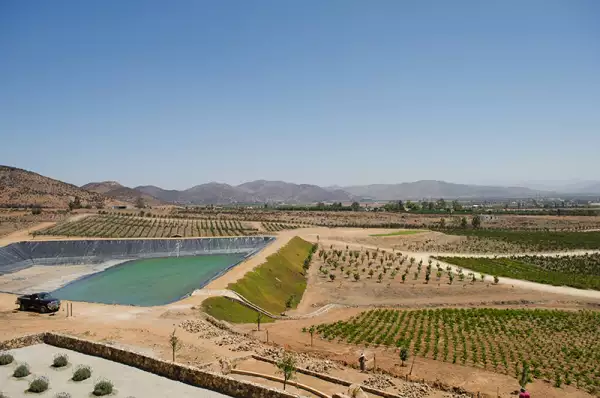 Valle de Guadalupe