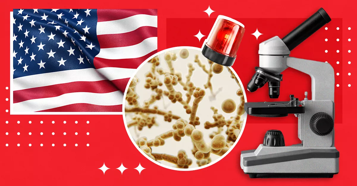 Candida auris, el hongo que amenaza los sistemas sanitarios en Estados Unidos