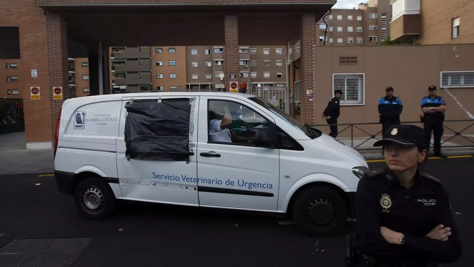 Excálibur perro protestas 5