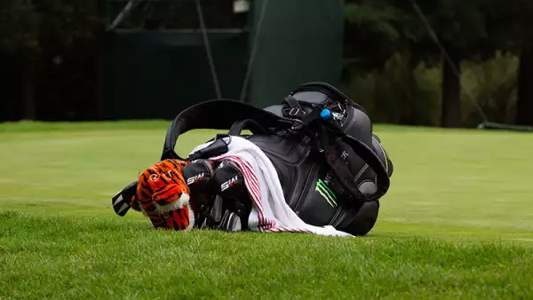 Tiger Woods