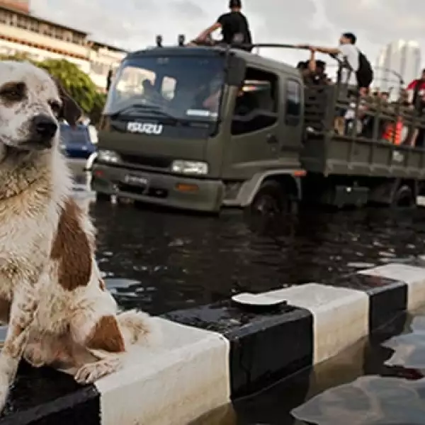 tailandia inundaciones 