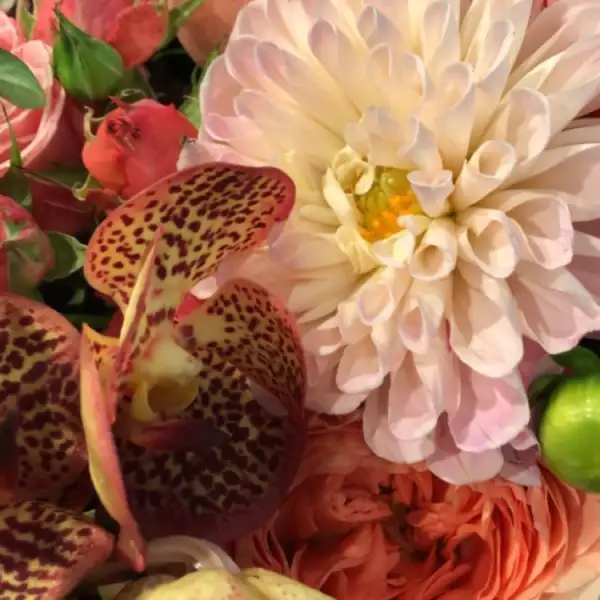 Kim Kardashian recibió decenas de flores por su cumple 37