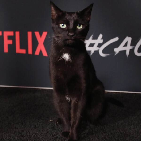 SALEM
